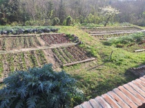 Orto di Angelo Morbelli, marzo 2025